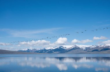 Gökyüzündeki kuş sürüsü