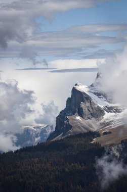 Alplerin dağına bak.