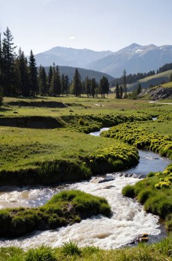 Nehir ve dağlarla kaplı dağ manzarası