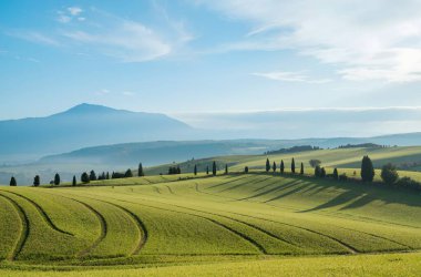 Toskana tepeli yeşil manzara, İtalya