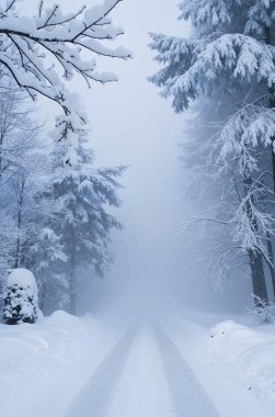 Dağlarda kış manzarası