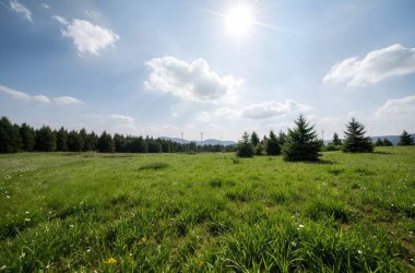 beautiful summer landscape with meadow and green grass.