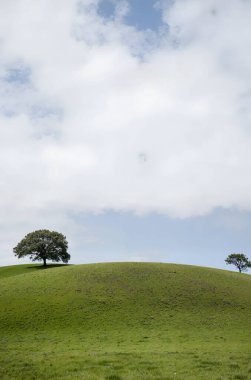 Büyük beyaz ve mavi gökyüzü olan bir tarla.
