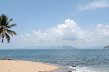 Bir sahil, bir palmiye ağacı ve berrak mavi bir gökyüzü, bulutlar ve dağlar.