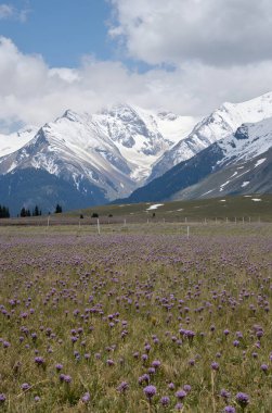 Dağların güzel manzarası