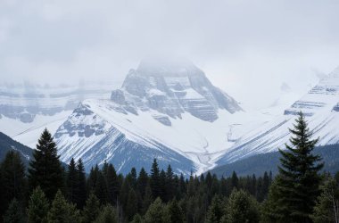 Önünde karla kaplı tepeler ve yemyeşil ağaçlar olan sisli bir dağ sırası.