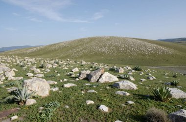 Bir çim tarlası ve bir dağ olan güzel bir manzara.