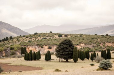 Bir görünümü dağların