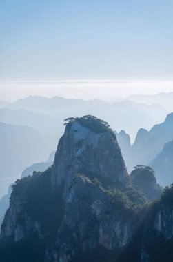 A lone tree on top of a rocky mountain peak surrounded by misty mountains