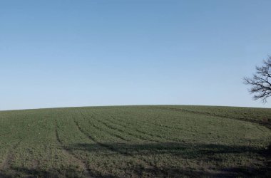 Ağaçlarla kaplı güzel bir manzara.