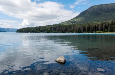 Doğanın güzel manzarası