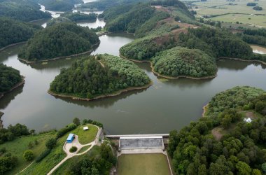 Yeşil ağaçlar ve gölle çevrili bir nehrin havadan görünüşü.