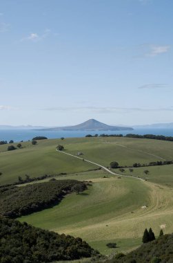 Bir alan ve dağın dikey görüntüsü.