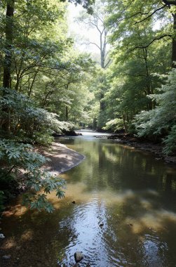 A serene river surrounded by lush green forest with sunlight filtering through the trees