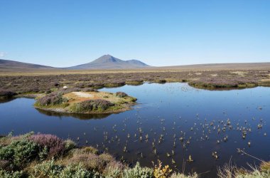 İsrail 'in kuzeyindeki bir gölün manzarası.
