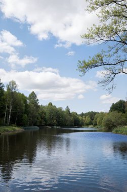 Mavi gökyüzünün altındaki ağaçlarla çevrili güzel bir göl görüntüsü.