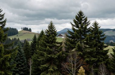 Karpat Dağlarının güzel manzarası