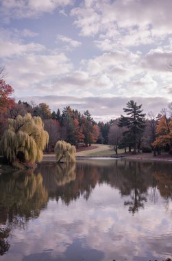 Ağaçlı ve göletli güzel manzara