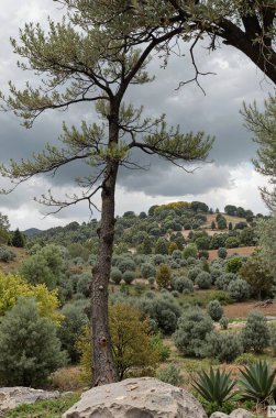 İspanya 'nın Güzel Doğası