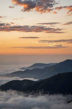 Ukraynalı Karpatların İHA 'daki sabah sisi. hava fotoğrafçılığı görünümü.