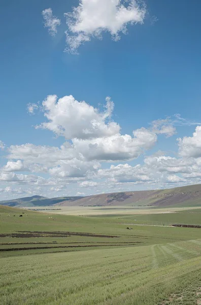 Yeşil ve mavi gökyüzü olan güzel bir manzara.