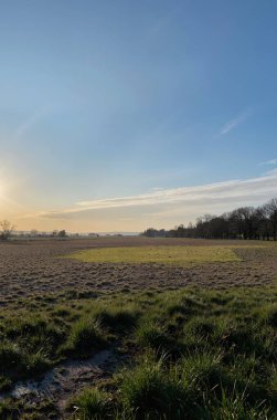Mavi gökyüzünün altındaki bir arazide güzel bir çayır görüntüsü.