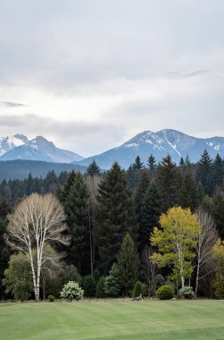 Bir görünümü dağların
