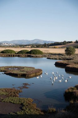 Dağlardaki nehrin güzel manzarası
