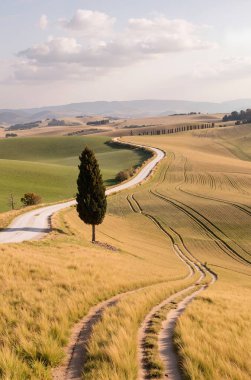 Yeşil tarlası ve mavi gökyüzü olan güzel bir manzara.