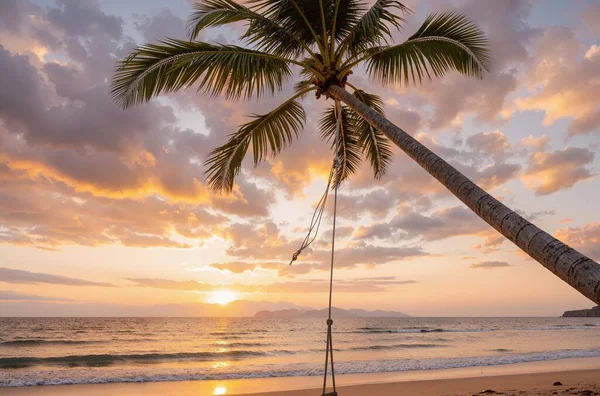 Arkasında hindistan cevizi palmiyesi olan deniz sahilinde güzel bir tropikal gün batımı..