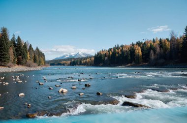 Dağlardaki güzel dağ nehri.