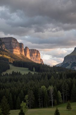 Bulutlu bir gökyüzünün altındaki ağaçlarla dağların güzel bir görüntüsü.