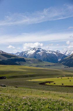 Dağlarda dağları olan güzel bir manzara.