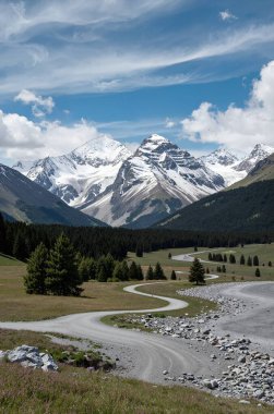 Karlı ve ağaçlı güzel dağ manzarası