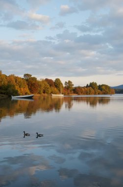 Gölü ve ağaçları olan güzel bir sonbahar manzarası..