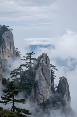 Dağın güzel manzarası