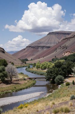 Yazın dağların manzarası