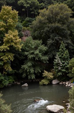 Parkın güzel manzarası