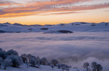 Kar ve ağaçlarla dolu güzel kış manzarası