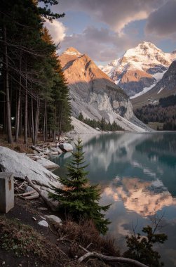Arkasında bir göl olan güzel bir manzara.