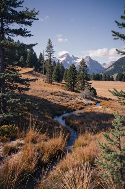 Dağlarda sonbaharda güzel bir dağ manzarası.