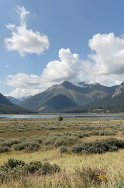 Mavi bulutlu gökyüzünün altında yeşilliklerle çevrili bir gölün dikey görüntüsü.
