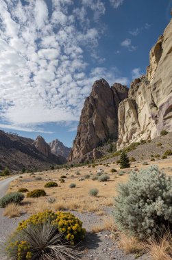 Arizona, Birleşik Devletler 'deki Utah Eyalet Parkı' nın güzel manzarası.