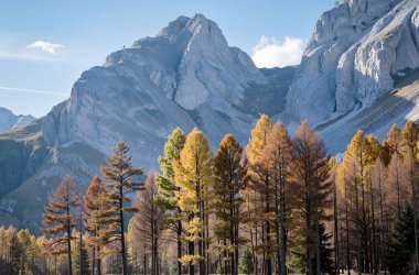 Dağların güzel manzarası