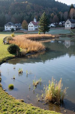 Sabah göl manzarası çok güzel.