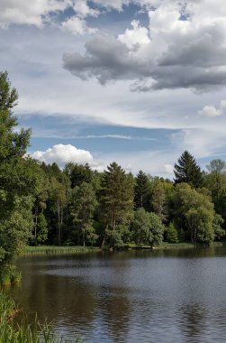 Yeşilliklerle çevrili güzel bir göl görüntüsü.
