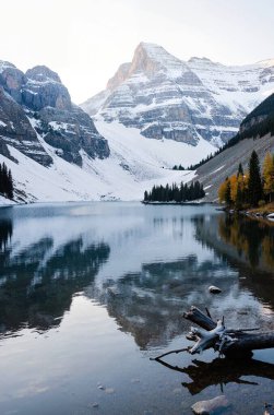 Güzel göl manzarası