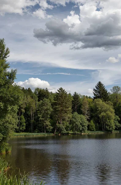 Yeşilliklerle çevrili güzel bir göl görüntüsü.