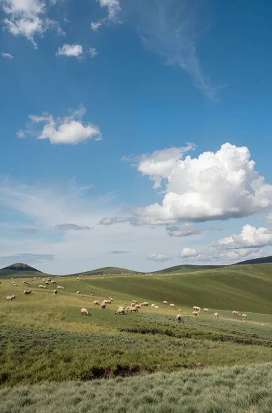 açık hava manzarasının resimsel görüntüsü