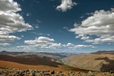 Sarı bozkır manzara